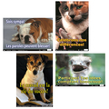 Poster Pals French Fun Photo Posters Set 10, 12in x 18in, Set of 4 PPS3